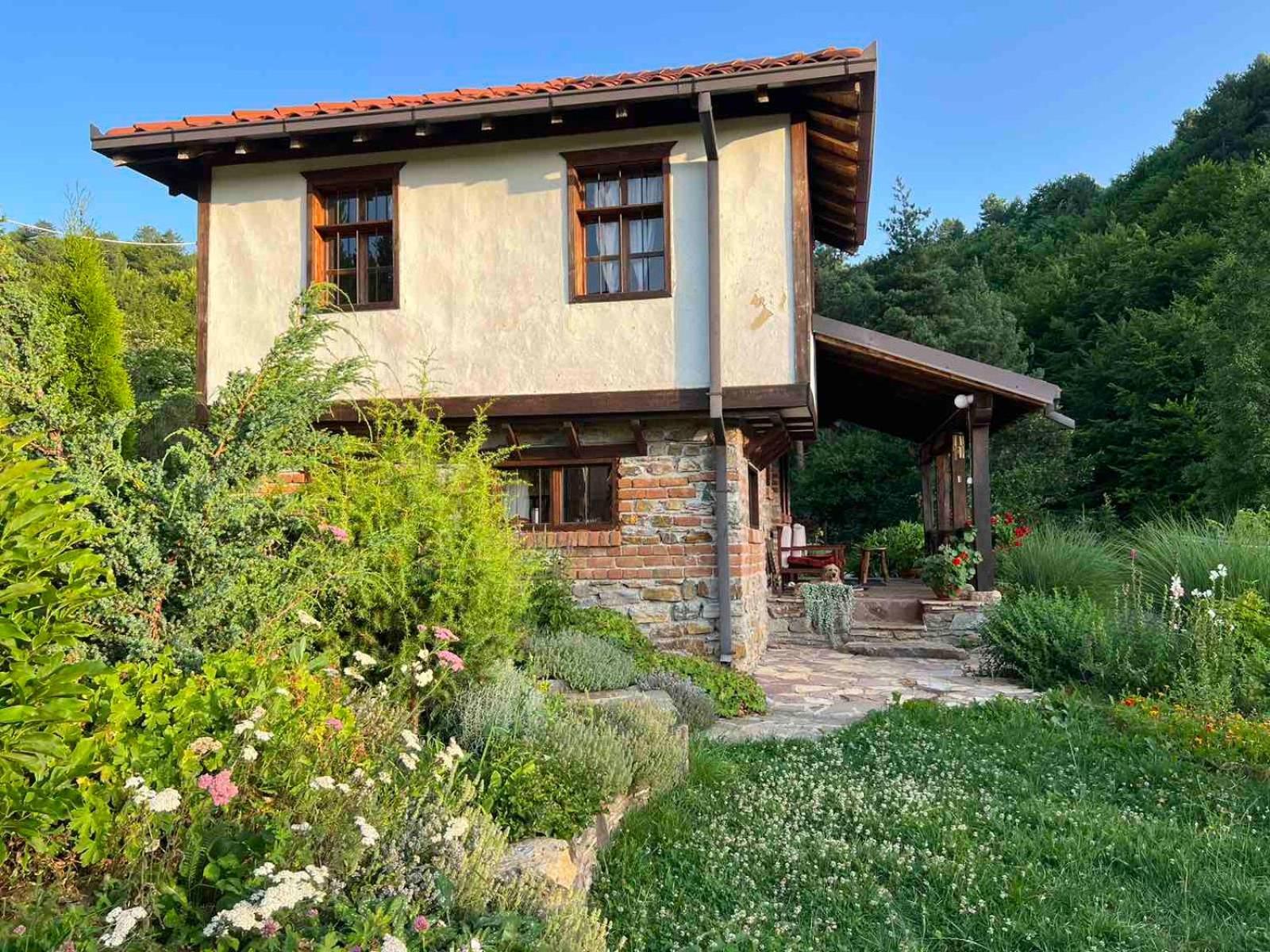 Traditional Cottage - Vila Samovila Delcevo Exterior photo